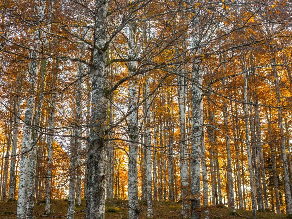 Appartamento A Due Passi Farra d'Alpago Exteriör bild