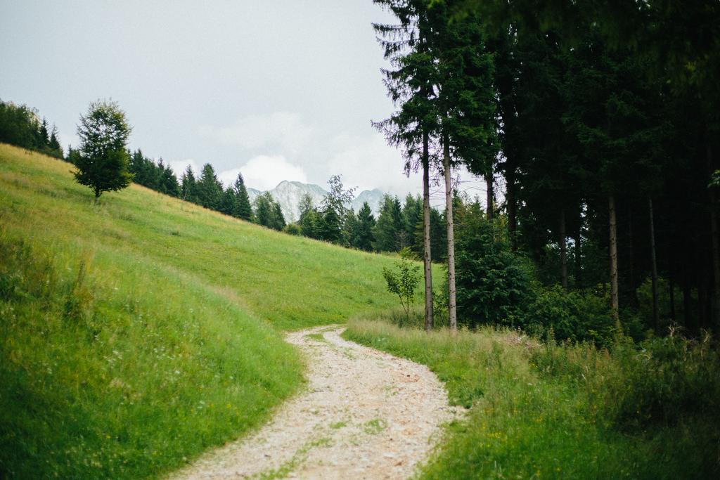 Appartamento A Due Passi Farra d'Alpago Exteriör bild